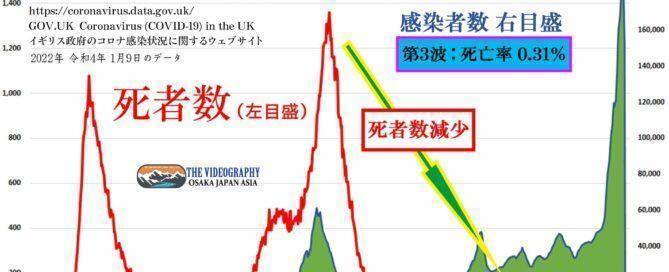 イギリス 新型コロナ Covid-19 感染者数と死亡数