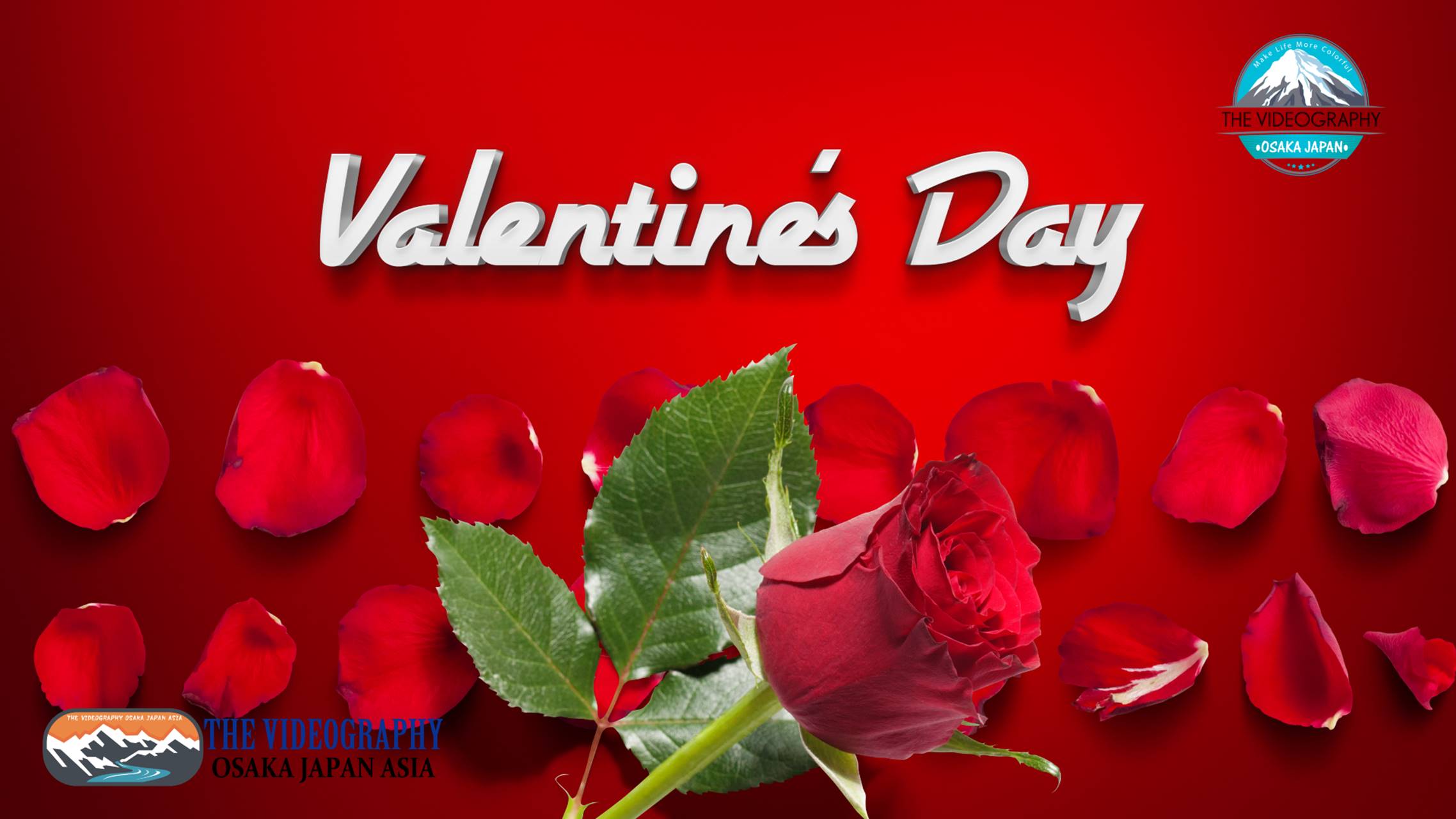 Happy Valentine's Day! ハッピー・バレンタイン・デーに最適なバラの花びら舞うおしゃれでポップな動画