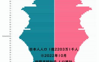 人口ピラミッド・日本人人口 年齢別 性別 2022年10月。 Japanese Population pyramid by the age and sex 2022 ■Japanese population 122 million in 2022. データ：総務省 人口推計（2022年（令和4年）10月1日現在） 日本人人口は１億2203万１千人で、前年に比べ75万人（-0.61％）の減少となり、11年連続で減少幅が拡大しています。