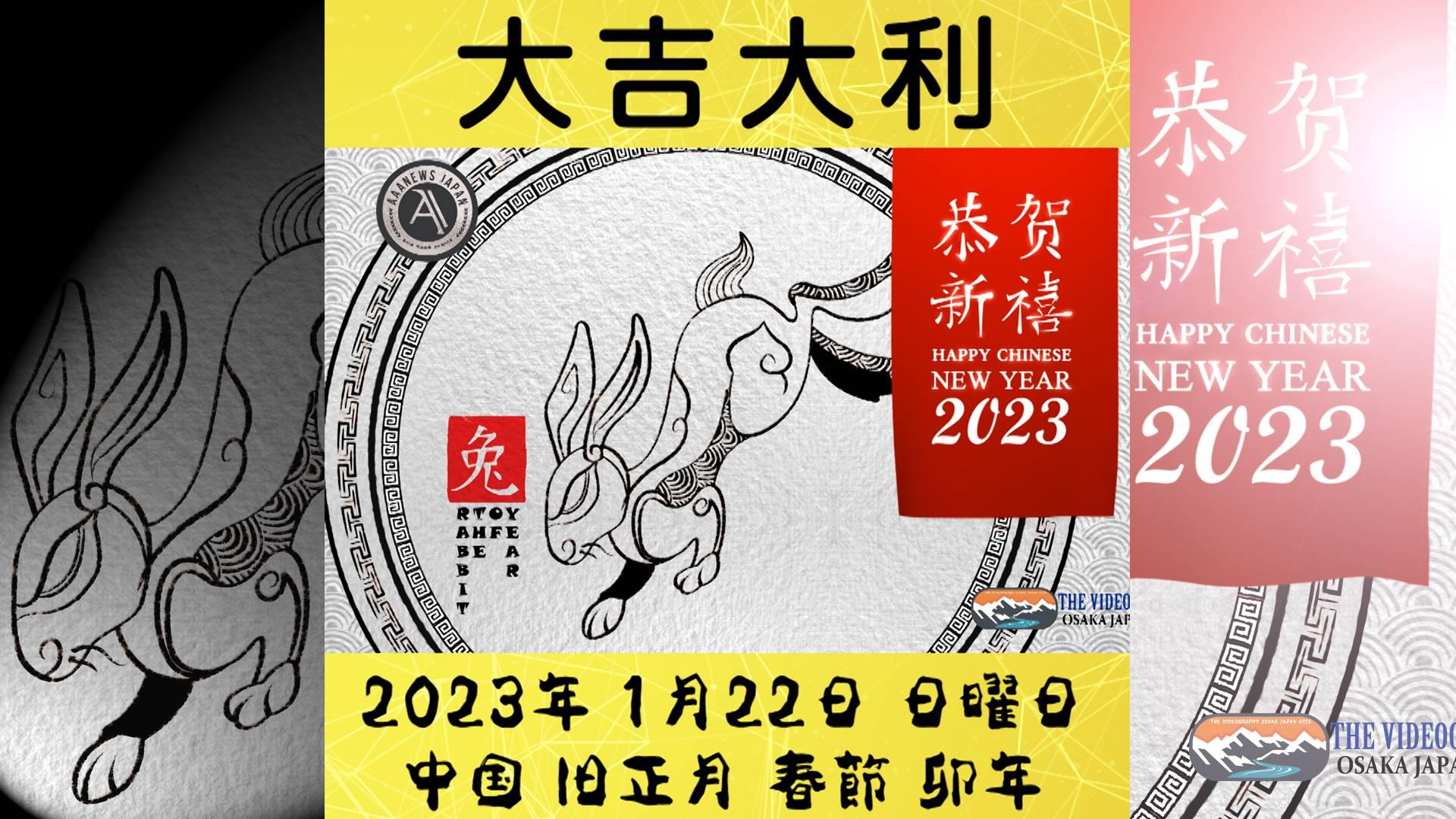 Year of the Rabbit. Chinese New Year